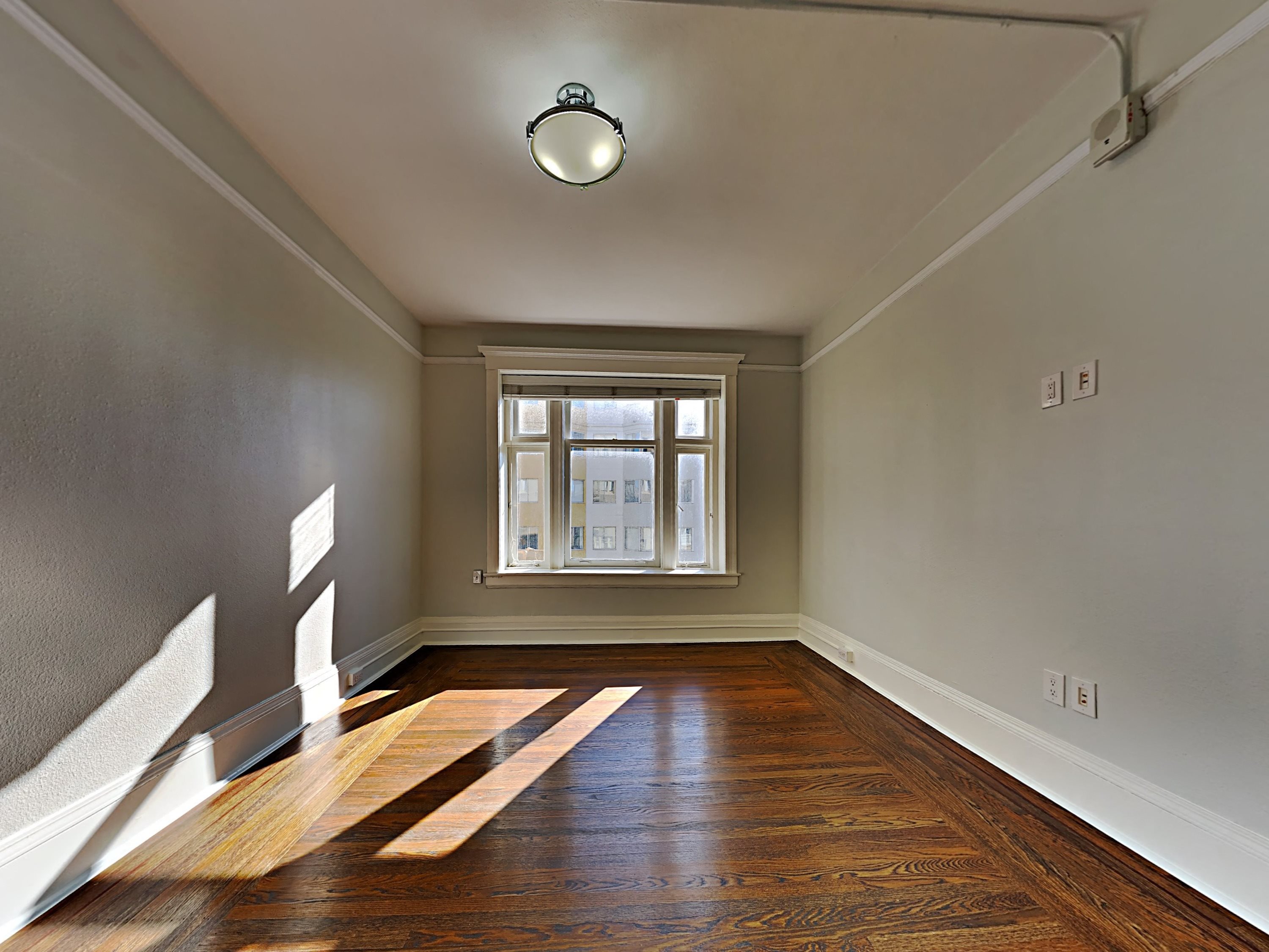 Gallery Photo 4